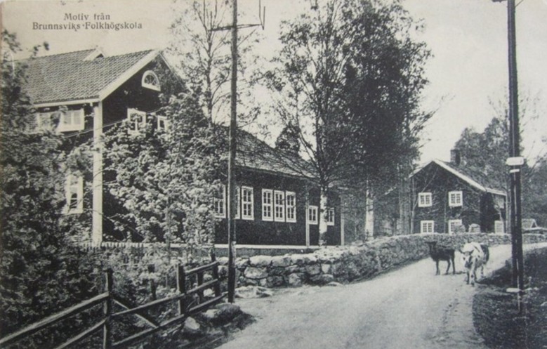 Svartvit bild av ett äldre skolhus. Framför skolan går två djur på vägen.